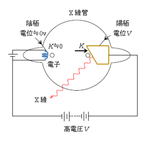 ドクターx 中国